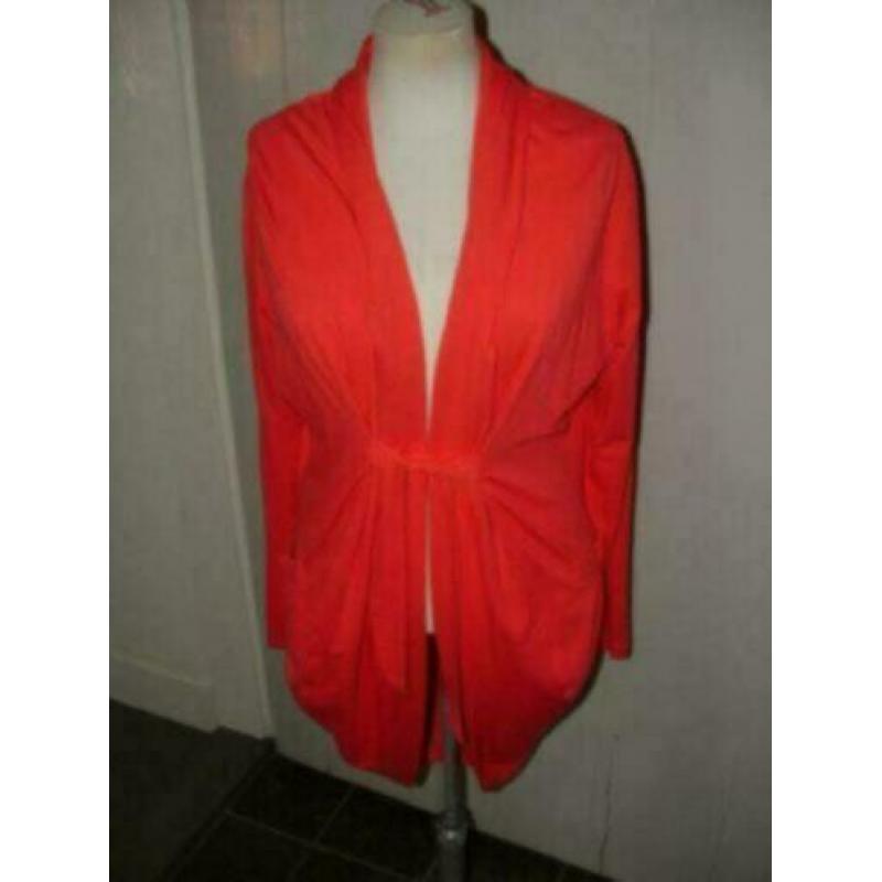 Daybreak vest maat S