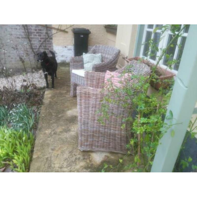 Set van twee rieten stoelen