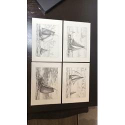 Peter Dorleijn fecit 4 stuks