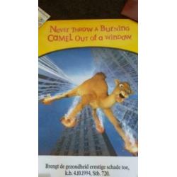 Camel poster - retro - reclame