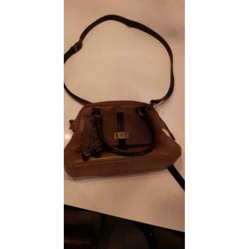 Laurent david tas