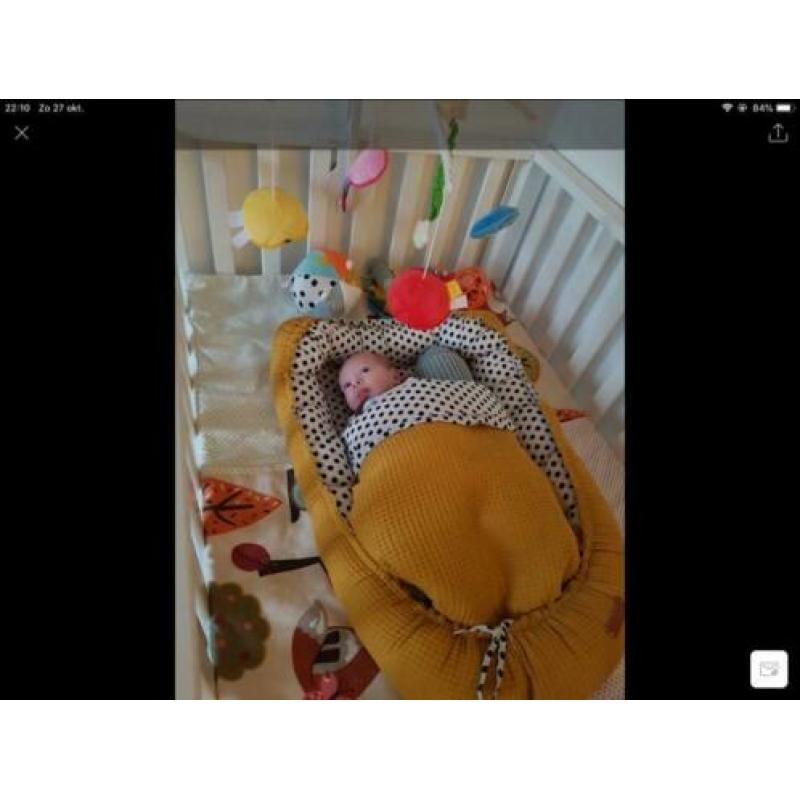 Babynestje