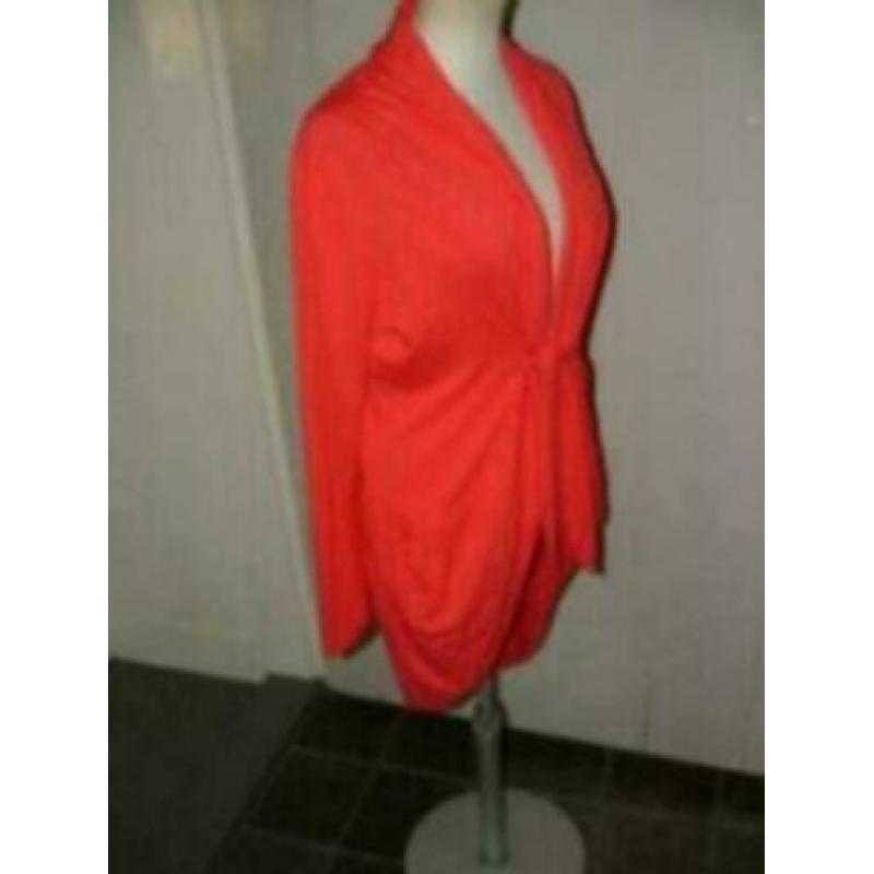 Daybreak vest maat S