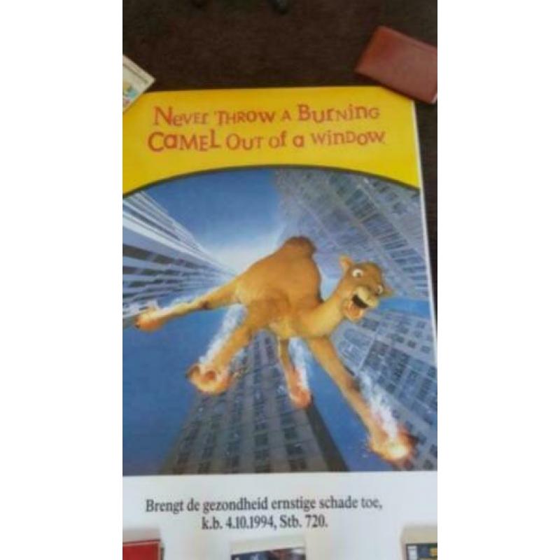Camel poster - retro - reclame