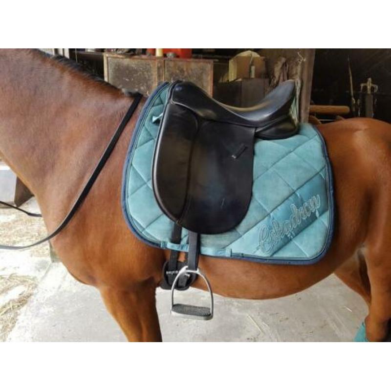 Eskadron seapine green set