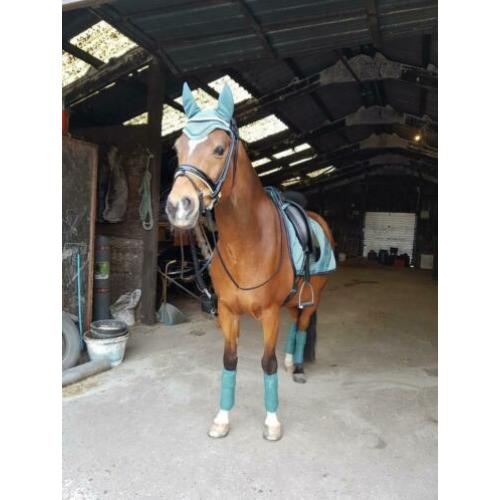 Eskadron seapine green set