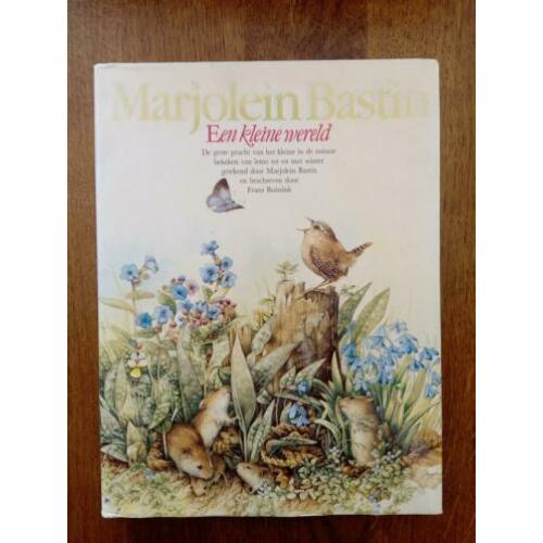Marjolein Bastin - Een kleine wereld