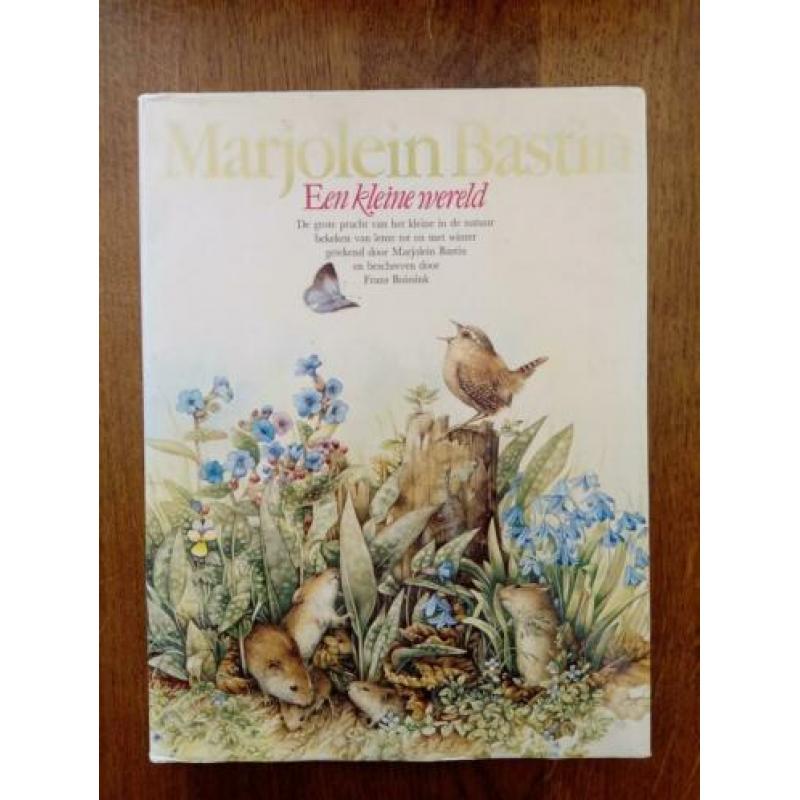 Marjolein Bastin - Een kleine wereld