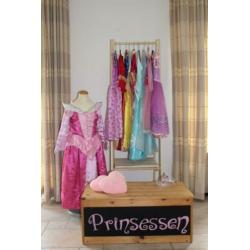 themakist prinsessen huren voor een tof feestje