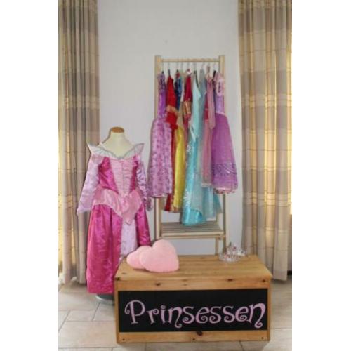 themakist prinsessen huren voor een tof feestje