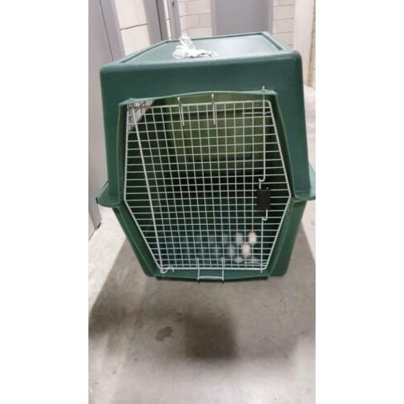 Honden transport bench