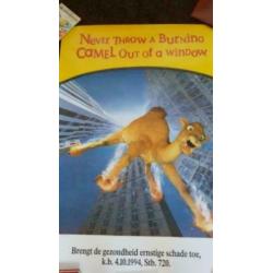 Camel poster - retro - reclame