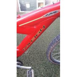 Te koop mountainbike raleigh 28 inch