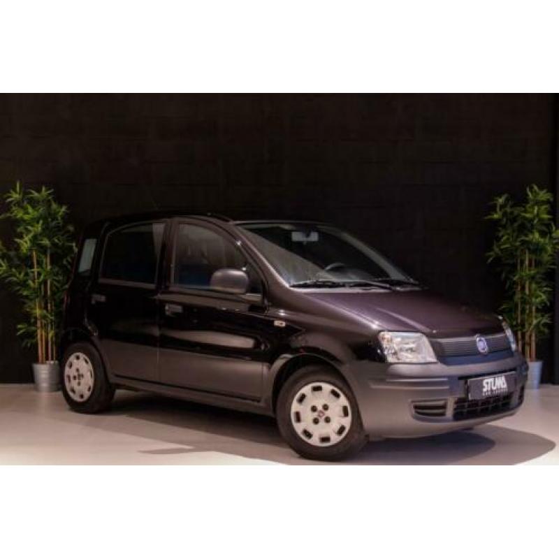 Fiat Panda 1.2 Actual | 2011 | 5 deurs | NAP | Garantie