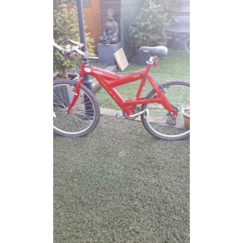 Te koop mountainbike raleigh 28 inch