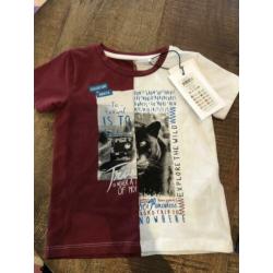Zomerset 80