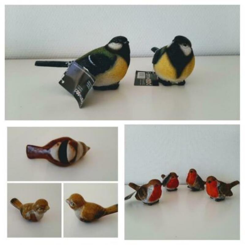 Roodborstjes/paddestoeltjes/meer vogeltjes/kabouter.en meer