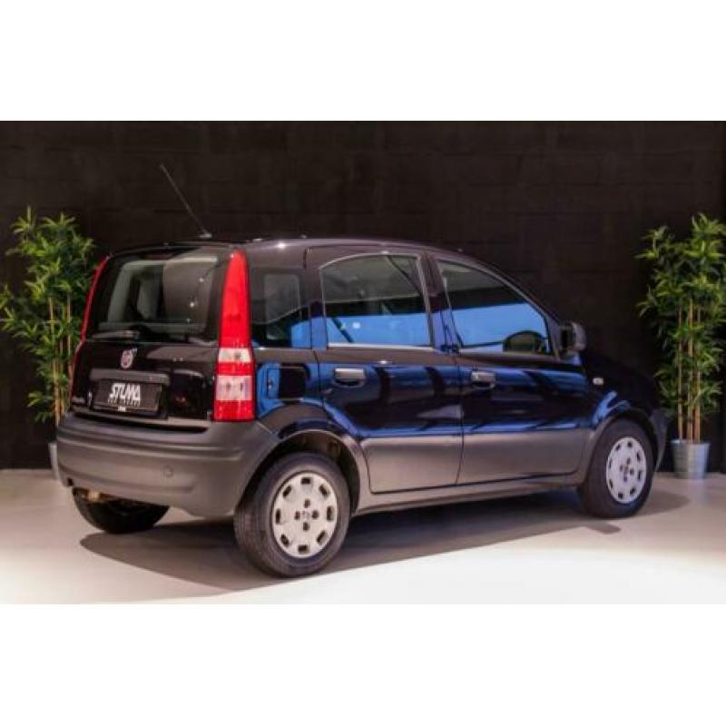 Fiat Panda 1.2 Actual | 2011 | 5 deurs | NAP | Garantie