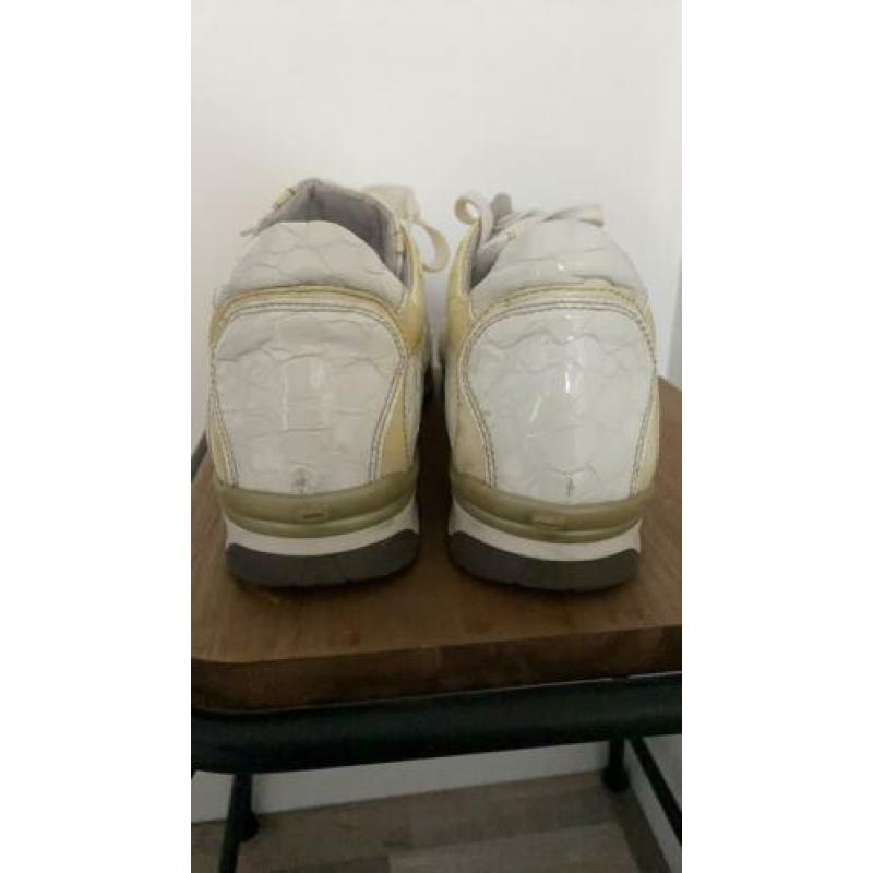 Corvari Sneakers maat 40