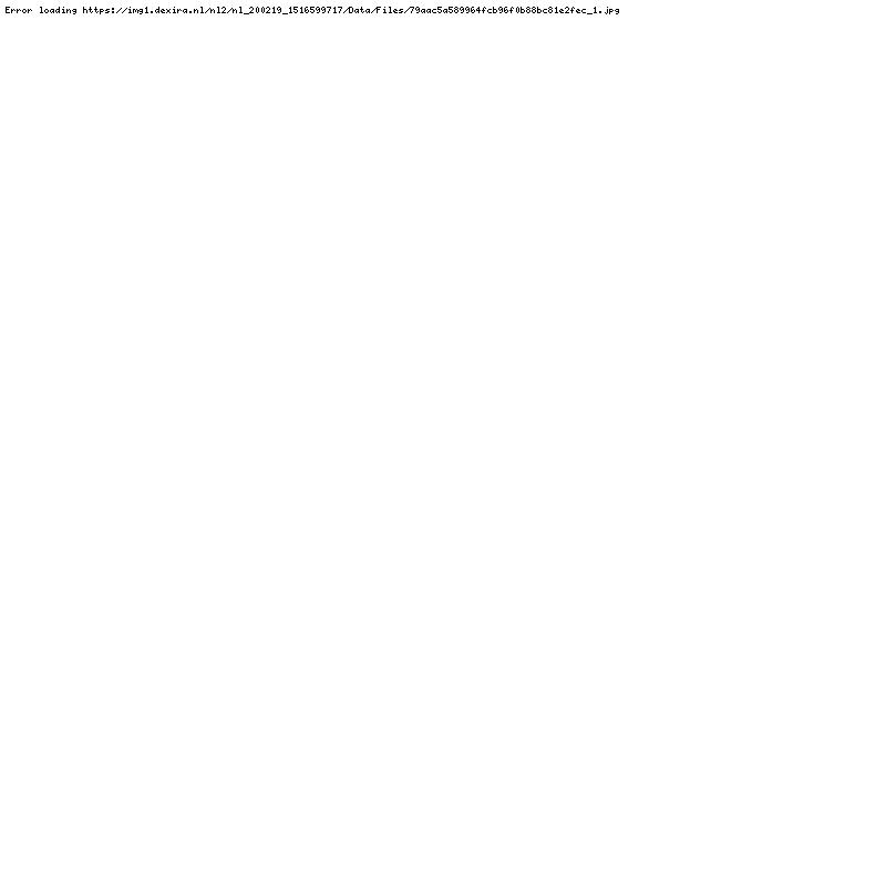 Telefoons Siemens Optiset E standard Advance plus