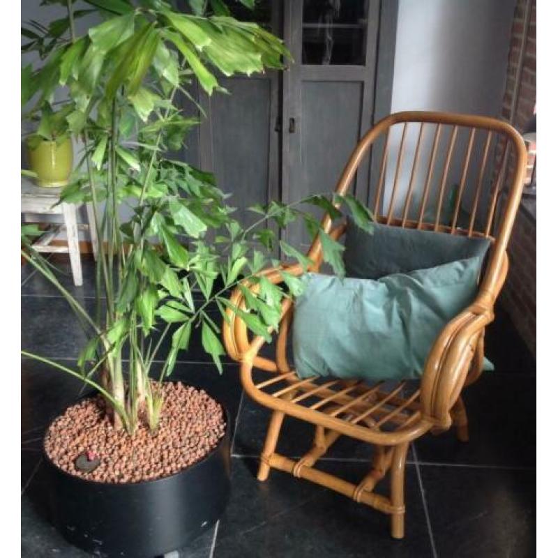 Vintage Manou stoel mooi en comfortable