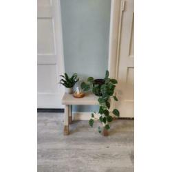 Brocante krukje