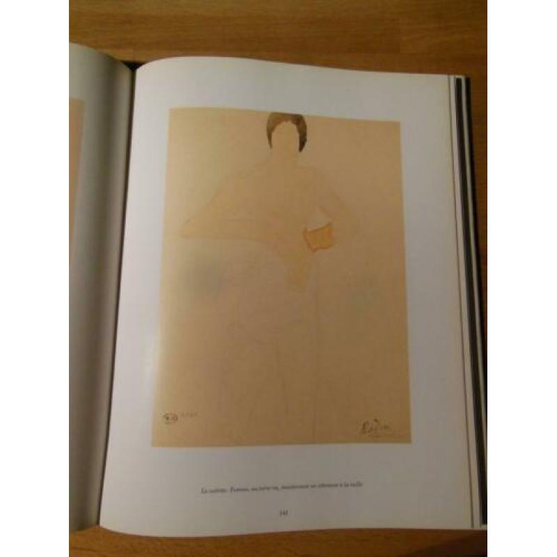 Rodin - John Sillevis