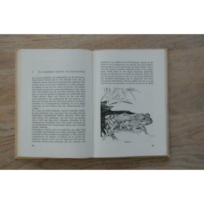 Kijk uit je ogen deel V : Reptielen en Amphibien 1949