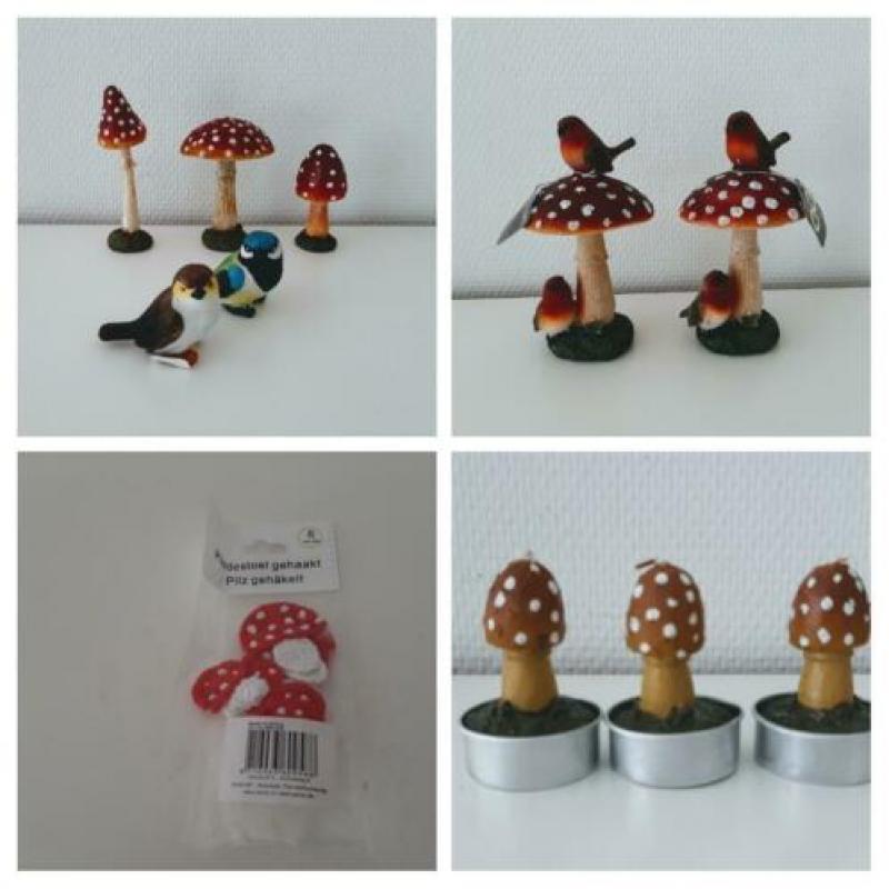 Roodborstjes/paddestoeltjes/meer vogeltjes/kabouter.en meer