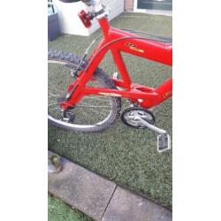 Te koop mountainbike raleigh 28 inch