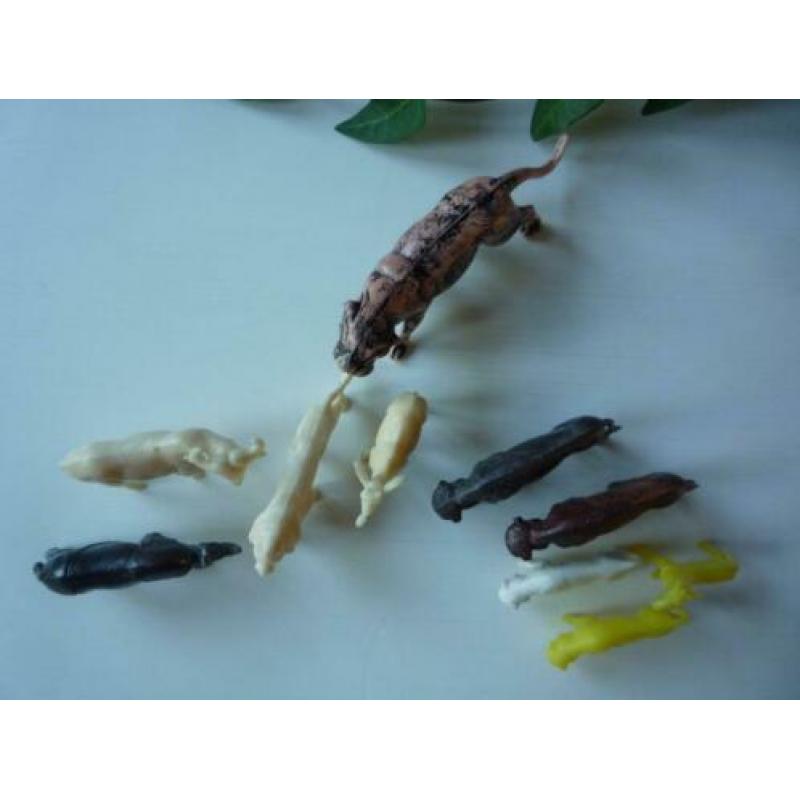 3x Kunststof Figuurtjes Giraffe en Bizon