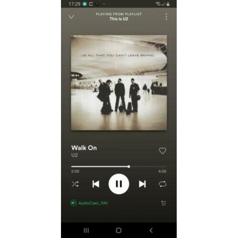 Chromecast audio