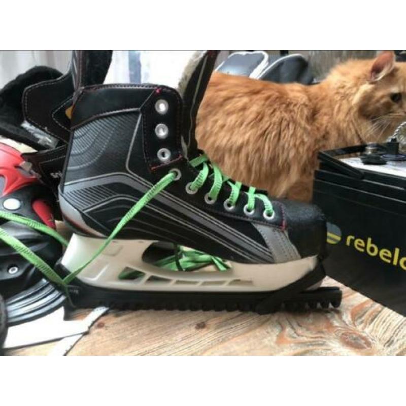 Schaatsen bauer maat 43 ook witte veters
