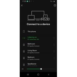 Chromecast audio