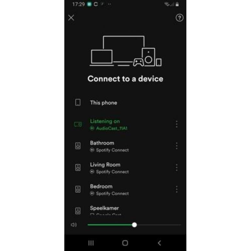 Chromecast audio
