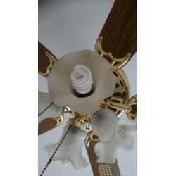 Plafondventilator met lamp verlichting