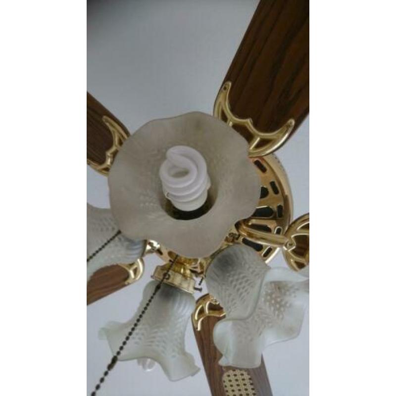 Plafondventilator met lamp verlichting