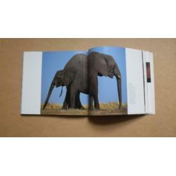 FRANS LANTING ; OKAVANGO ; fraai boek, goedkoop