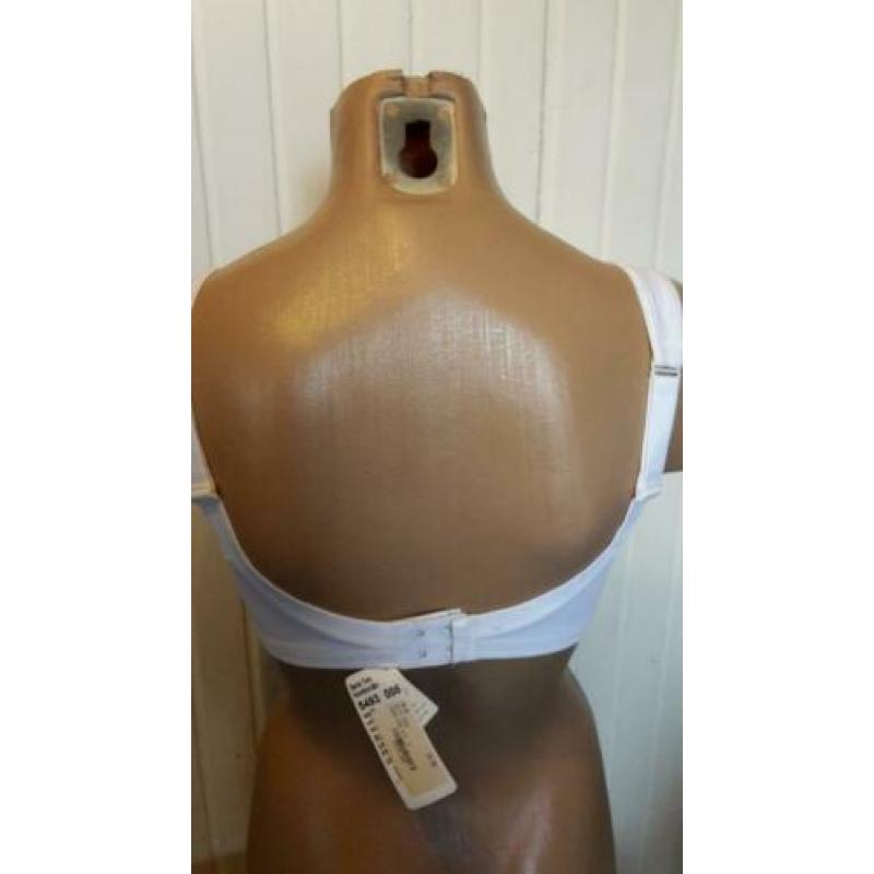 Nieuw Rosa faia bh zonder beugel 70d (r95)