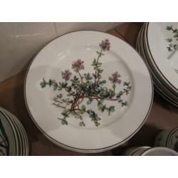 Botanica Villeroy en Boch serviesdelen