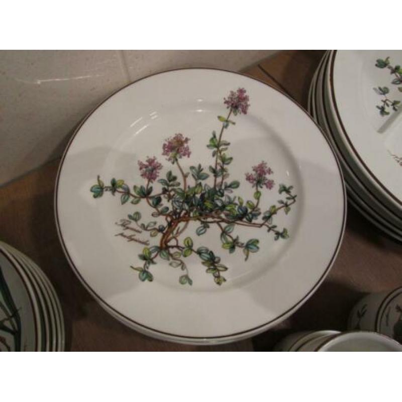 Botanica Villeroy en Boch serviesdelen