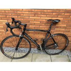Colnago Primavera matzwart 53cm