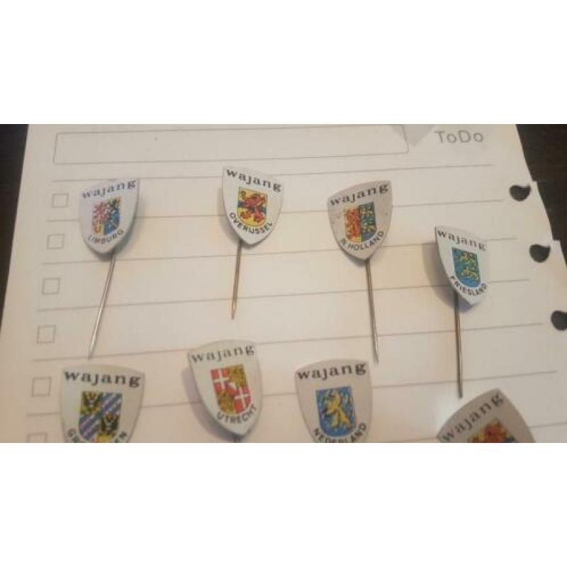 12 Wajang provincie speldjes
