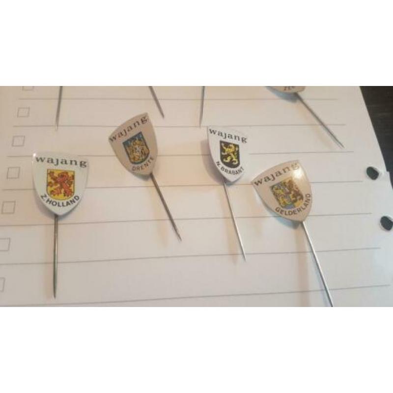 12 Wajang provincie speldjes