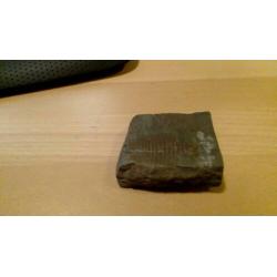 Duidelijke Olenaspella Trilobite
