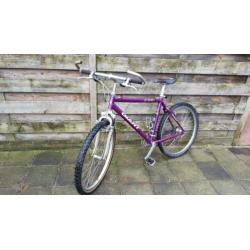 Giant mountainbike 26 inch
