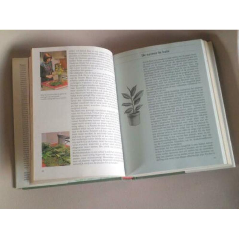 Moment voor... uw kamerplanten (adviesboek door specialisten