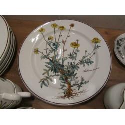 Botanica Villeroy en Boch serviesdelen