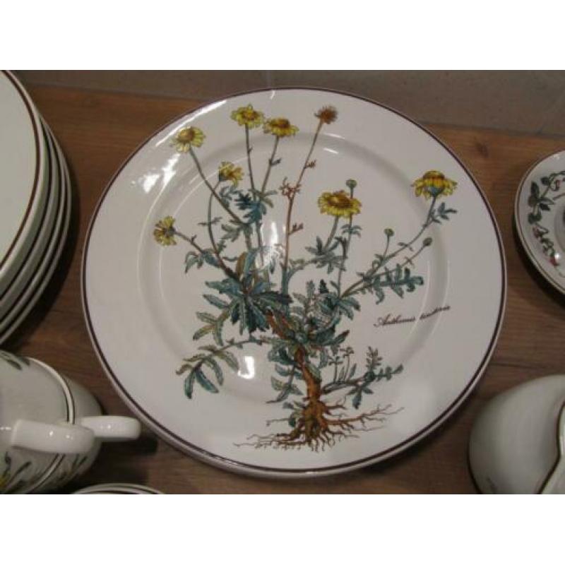 Botanica Villeroy en Boch serviesdelen