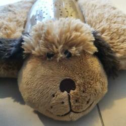 Dream Lites - Pillow Pets